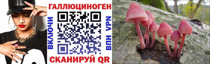 Галлюциногенные грибы Psilocybe Тетюши