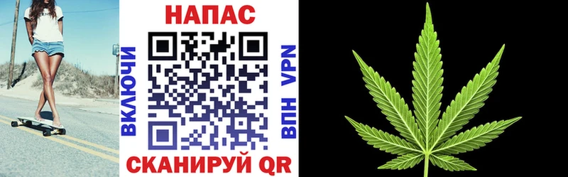 магазин продажи   Тетюши  Каннабис индика 